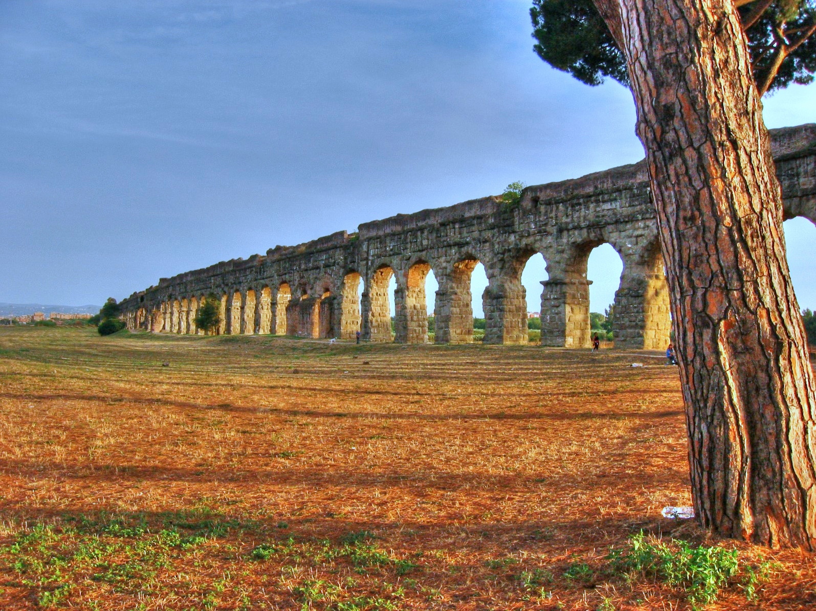 roma-parco_degli_acquedotti03-%e3%81%ae%e3%82%b3%e3%83%92%e3%82%9a%e3%83%bc